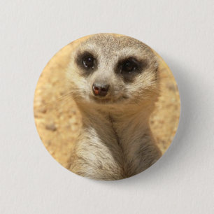 Neugieriges Meerkat rundes Button