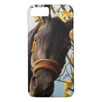 Neugieriges Pferd durch das Küchenfenster schauen