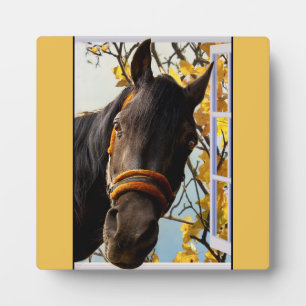 Neugieriges Pferd durch das Küchenfenster schauen Fotoplatte