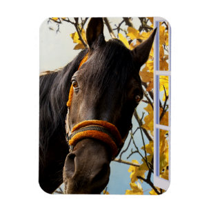 Neugieriges Pferd durch das Küchenfenster schauen Magnet