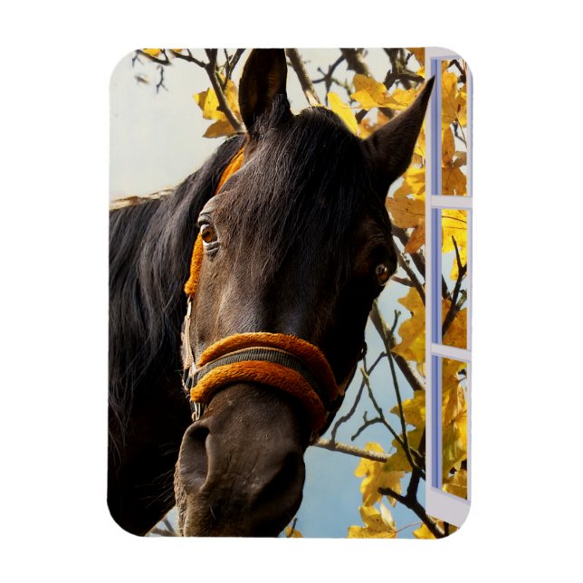 Neugieriges Pferd durch das Küchenfenster schauen Magnet (Vertikal)