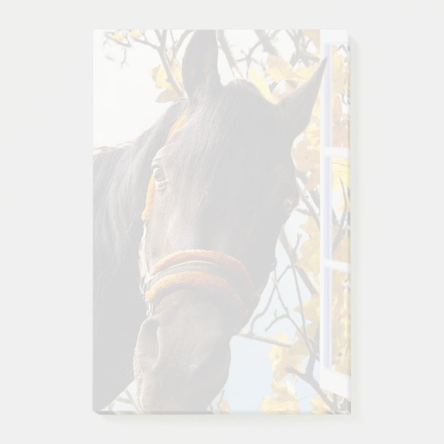 Neugieriges Pferd durch das Küchenfenster schauen Post-it Klebezettel (Vorderseite)