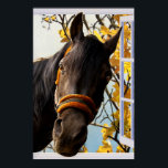 Neugieriges Pferd durch ein Küchenfenster schauen Poster<br><div class="desc">Das süße und skurrile Bild eines großen braunen Pferdes, das durch ein offenes Fenster schaut und seinen Kopf hineinklebt. Neugierige und freundliche Pferde. Dieses große, schöne Tier hat sanfte und weiche braune Augen mit einem niedlich orangefarbenen Trägerhalter. Er hat perkle Ohren und eine lange Mähne und eine lange Fahne. Im...</div>