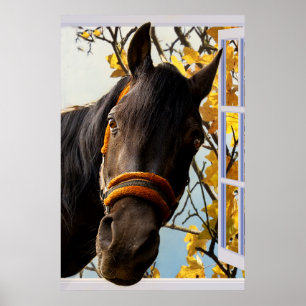Neugieriges Pferd durch ein Küchenfenster schauen Poster
