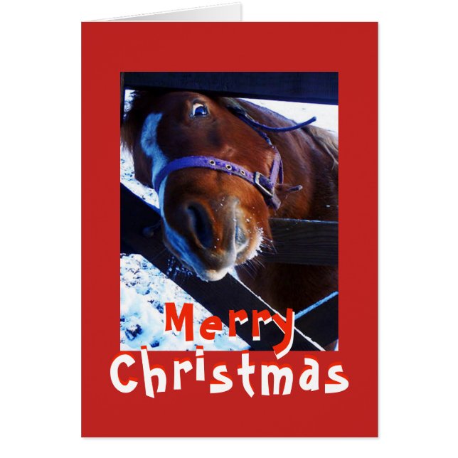 Neugieriges Pferd Weihnachtskarte (Vorne)