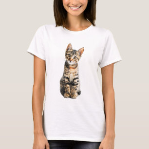 Neugieriges Tabby-Kätzchen mit großen Augen, Fraue T-Shirt