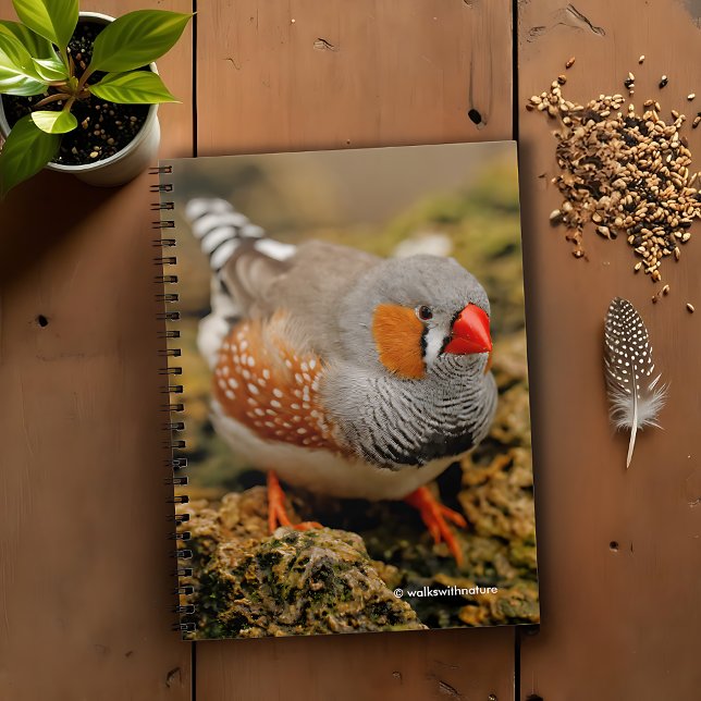 Neugieriges Zebra Finch auf den Felsen Notizblock (Curious Zebra Finch on the Rocks Journal Cover Photo)