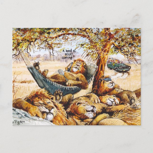 Neuigkeiten schnell postkarte (Vorderseite)