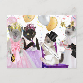 Neujahr: Kitten Postkarte