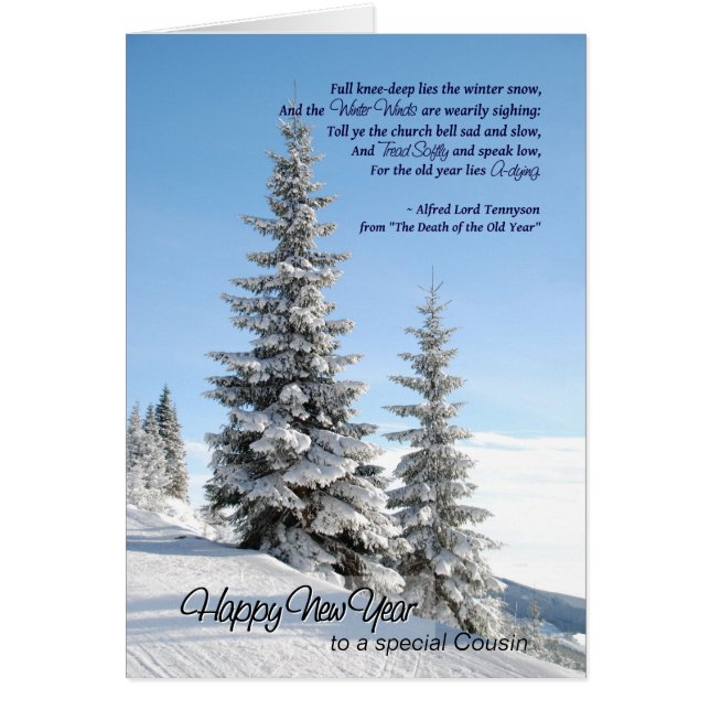 Neujahrsschnee auf Koniferen für Cousin Tennyson G (Vorne)