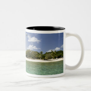 Neukaledonien, Amedee Islet. Amedee Islet Pier. Zweifarbige Tasse