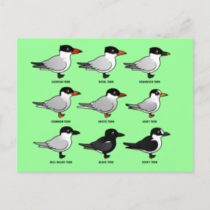 Neun Birdorable Terns (gekennzeichnet) Postkarte