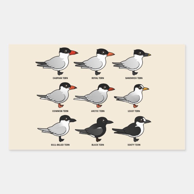 Neun Birdorable Terns (gekennzeichnet) Rechteckiger Aufkleber (Vorderseite)