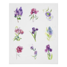 Neun Frühlingsblumen Botanische Aquarellmalerei