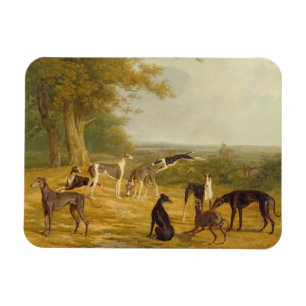 Neun Windhunde in einer Landschaft (Öl auf Magnet