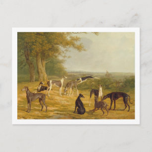 Neun Windhunde in einer Landschaft (Öl auf Postkarte