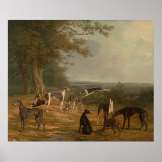 Neun Windhunde in einer Landschaft Poster