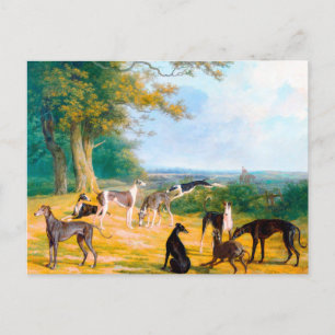Neun Windhunde in einer Landschaft von Jacques-Lau Postkarte