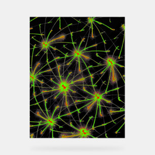 Neural Network Burst – Premium Acrylic Sign Acrylschild