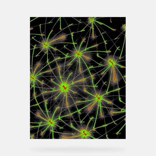 Neural Network Burst – Premium Acrylic Sign Acrylschild (Vorderseite)