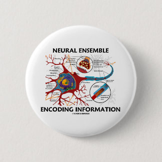 Neurale Ensemble-kodierungs-Informationen (Neuron) Button