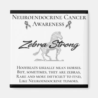 Neuroendokriner Krebs Bewusstsein Zebra stark Magnet