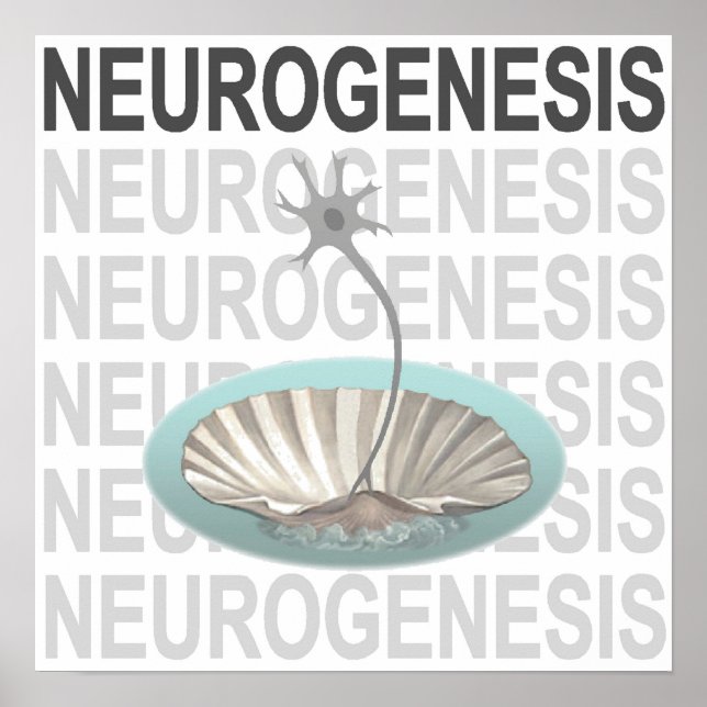 Neurogenese Poster (Vorne)