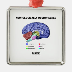 Neurologisch überwältigtes Innere (Gehirn-Spaß) Silbernes Ornament