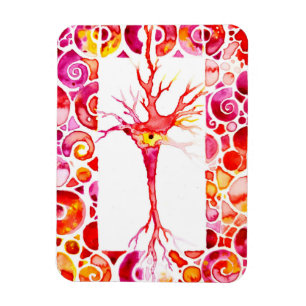 Neuron Magnet