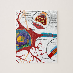 Neuron-Nerven-Art Puzzle