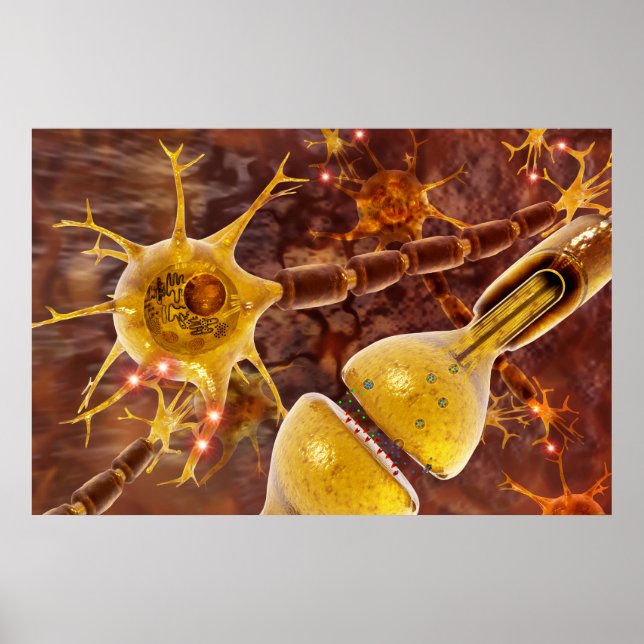 Neuron Poster (Vorne)
