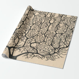 Neuron Zeichne von Santiago Ramón Y Cajal Geschenkpapier