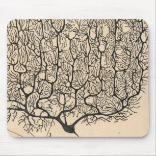 Neuron Zeichne von Santiago Ramón Y Cajal Mousepad