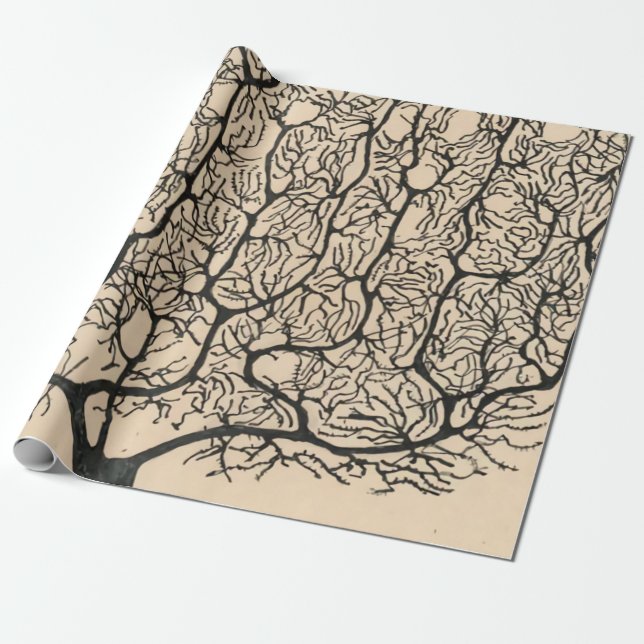 Neuron Zeichnend von Santiago Ramón Y Cajal Geschenkpapier (Ungerollt)