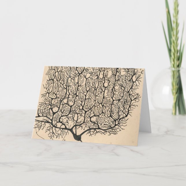 Neuron Zeichnend von Santiago Ramón Y Cajal Karte (Vorderseite)