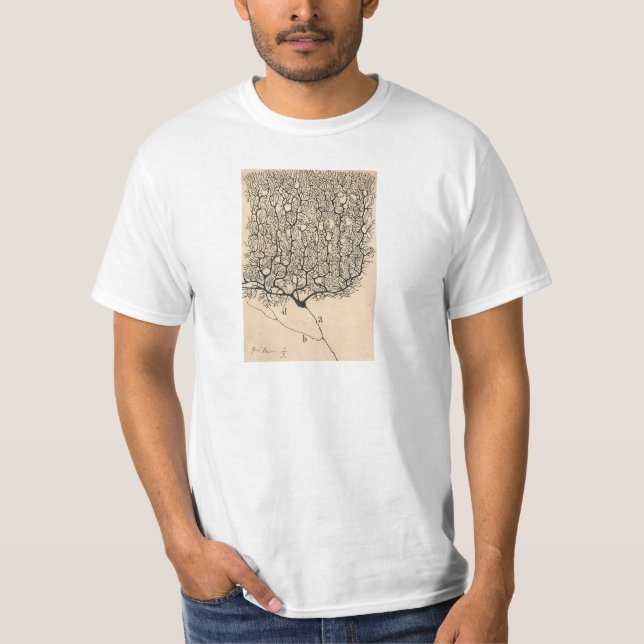 Neuron Zeichnend von Santiago Ramón Y Cajal T-Shirt (Vorderseite)