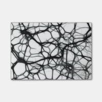 Neuronen