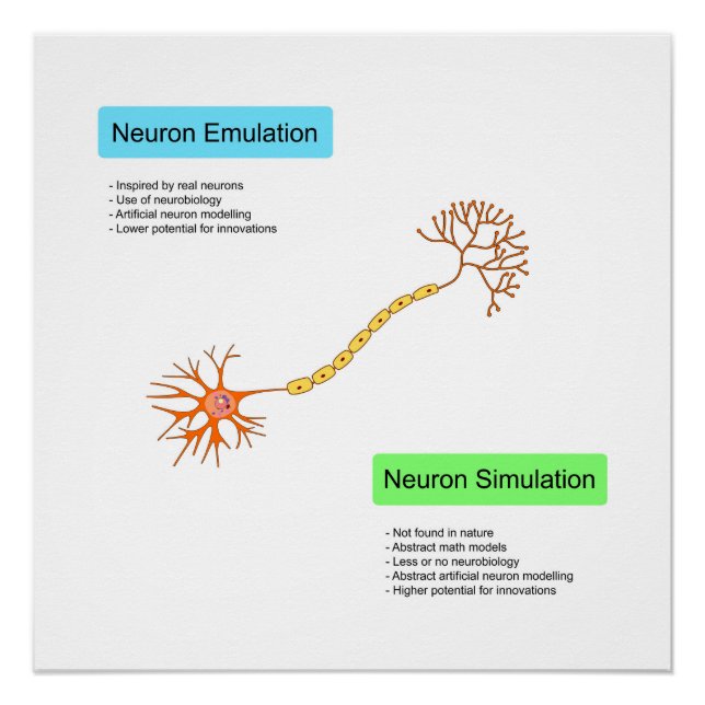 Neuronen Poster (Vorderseite)