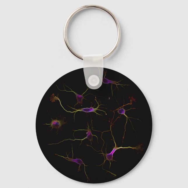 NeuronRoots KeyRing Schlüsselanhänger (Vorderseite)