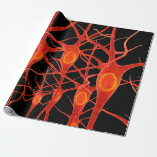 Neuronsneuronale,3d,Anatomie,axon,bio,biologisch,b Geschenkpapier