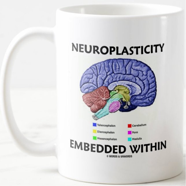 Neuroplastizität eingebettet in die Gehirnanatomie Tasse (Brainy mug for anyone who learns a lot and in different ways w/ "Neuroplasticity Embedded Within")