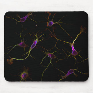 NeuroRootsPad Mousepad