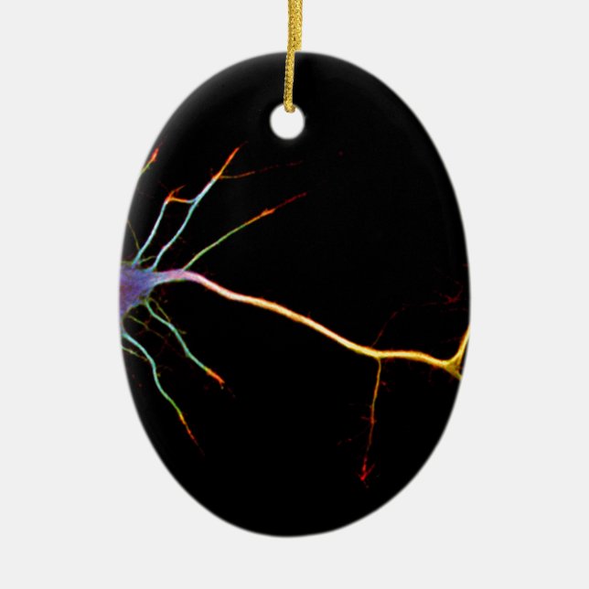 Neuroscience, neuron, science, keramik ornament (Vorne)