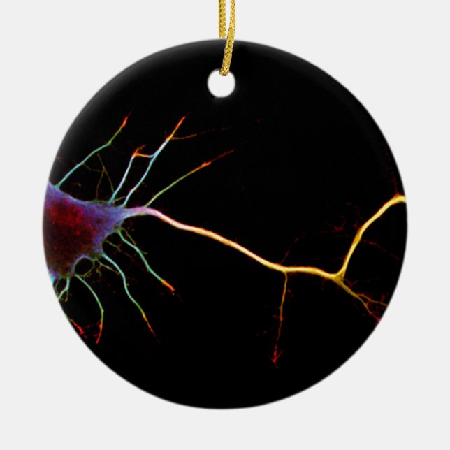 Neuroscience, neuron, science, keramik ornament (Vorne)