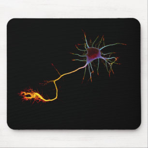 Neuroscience, neuron, science, mousepad