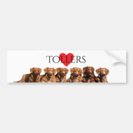 Neuschottland-Enten-läutender Autoaufkleber