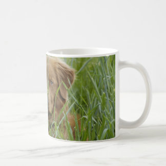 Neuschottland-Enten-läutender Retriever Tasse