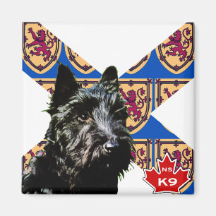 NeuschottlandScottish Terrier Magnet