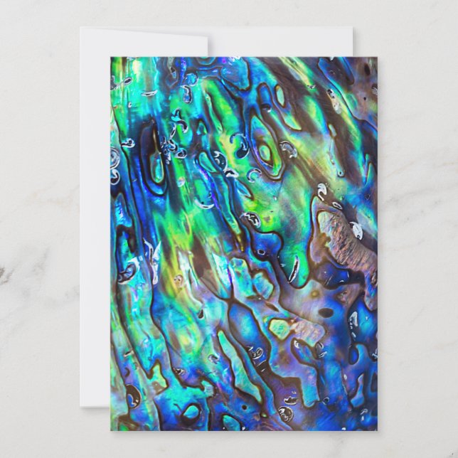 Neuseeland Abalone Paua Muschel Muster 1 (Vorderseite)