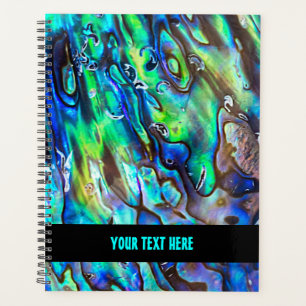 Neuseeland Abalone Paua Schalenmuster 1 Planer
